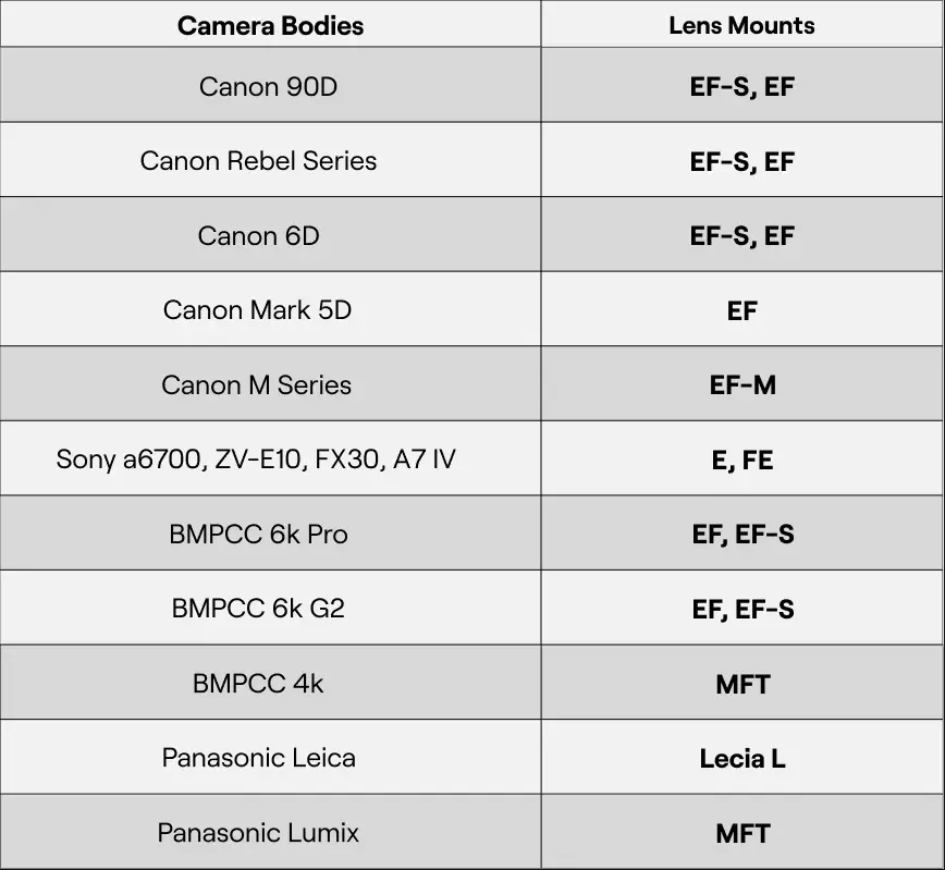 List of the Most Popular Camera Models | Skylum Blog