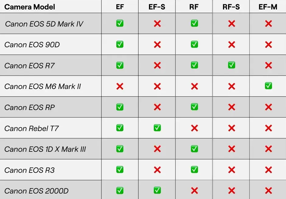 Understanding DSLR Lens Compatibility with Mirrorless Cameras | Skylum Blog