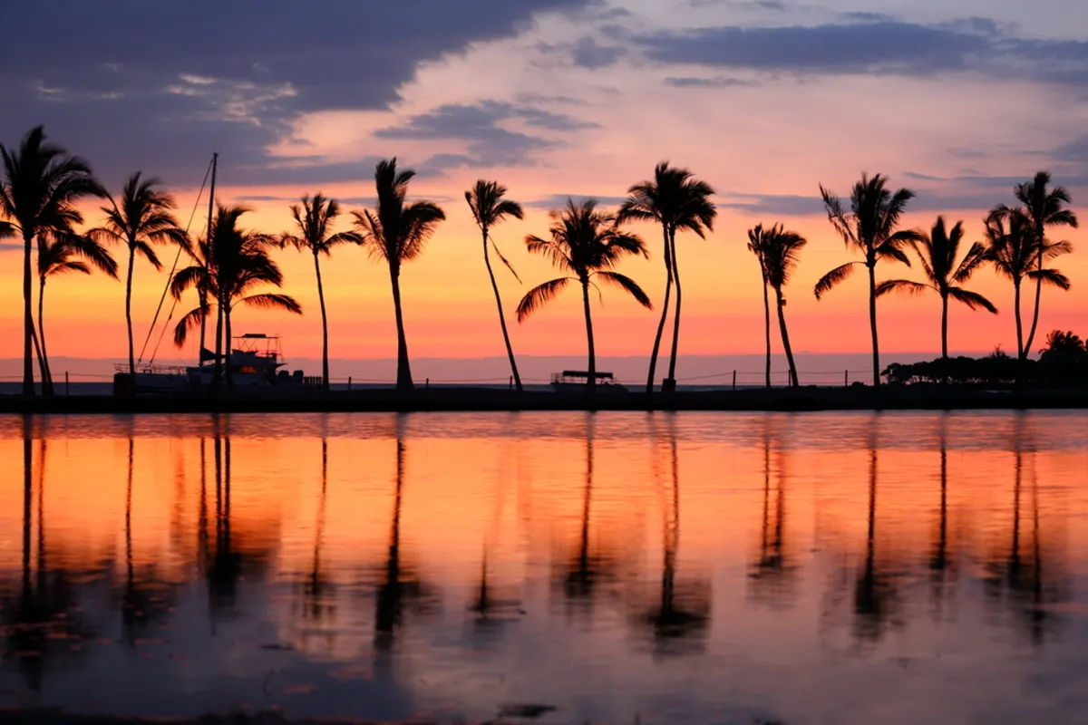 Sunset photo with palm trees | Skylum Blog