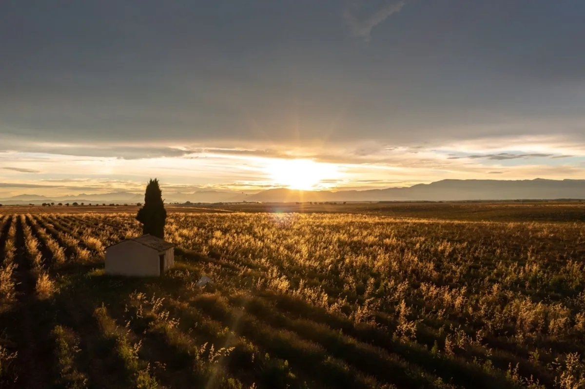 Sunset photo from above | Skylum Blog