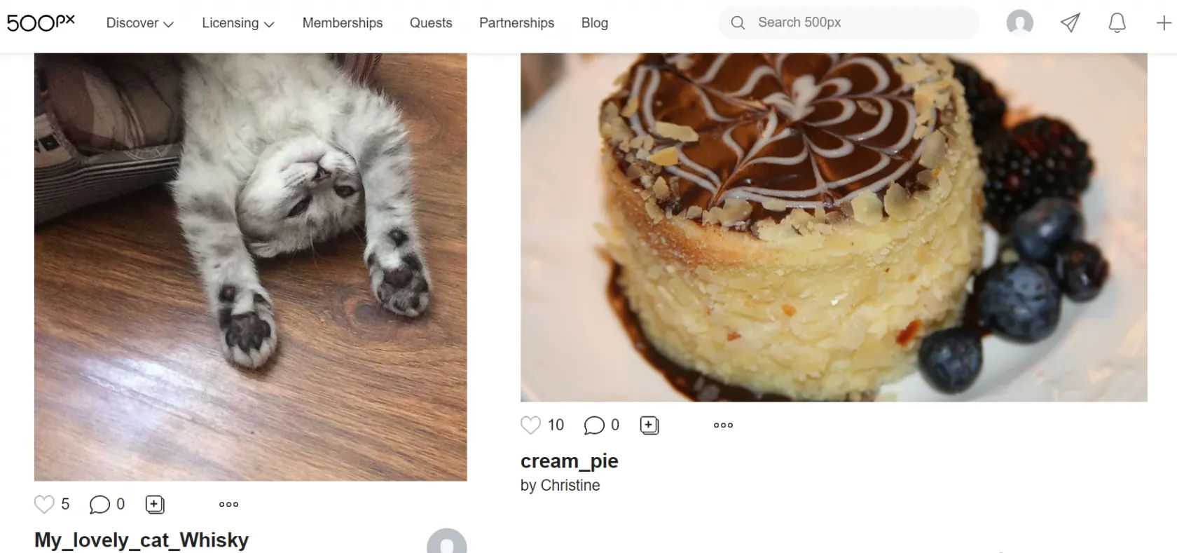 500px - Best Online Photo Storage Websites Review | Skylum Blog