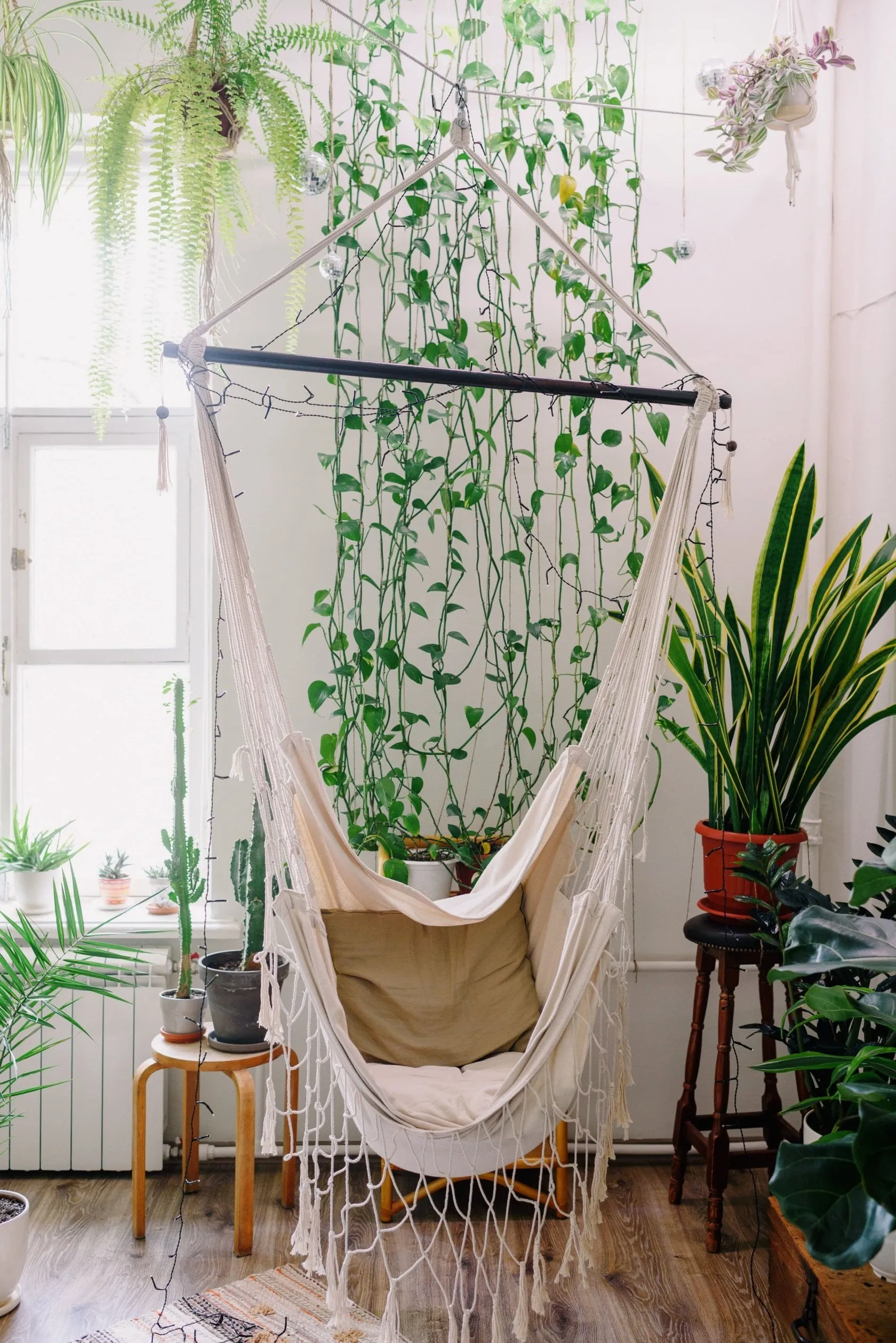 diy photo backdrop ideas | Skylum Blog