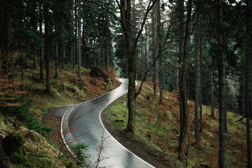 Rain Landscape | Skylum Blog