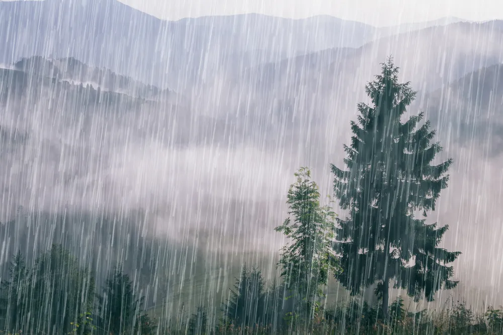 Rainy Day Landscape | Skylum Blog