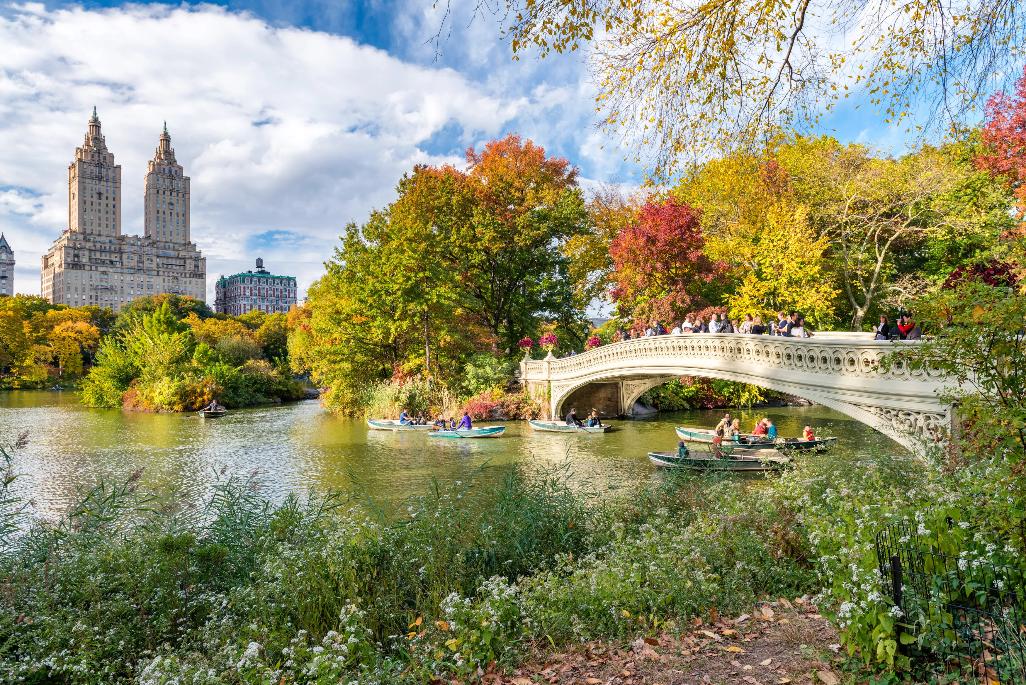 The Pond in Central Park