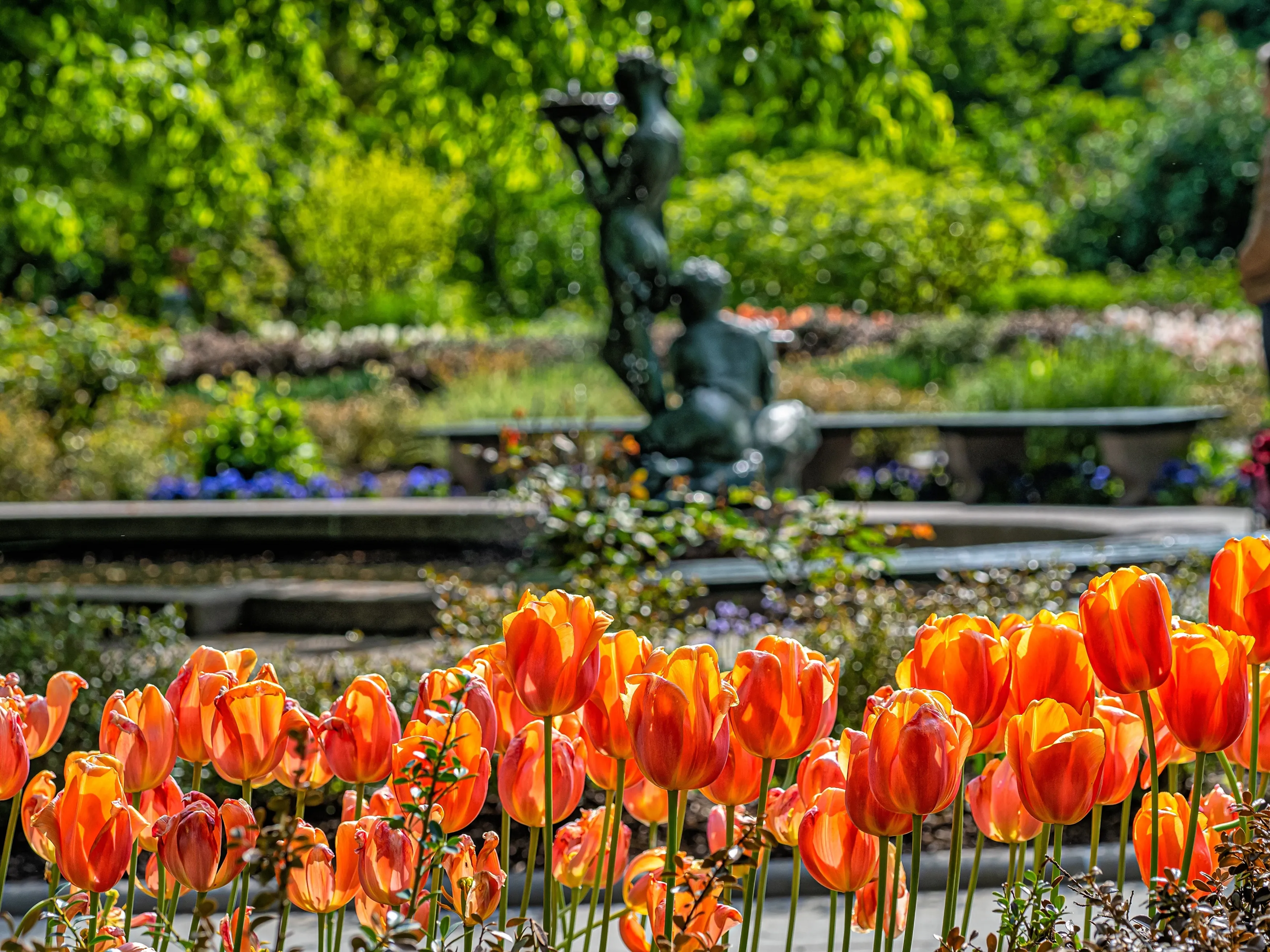 Conservatory Garden in Central Park