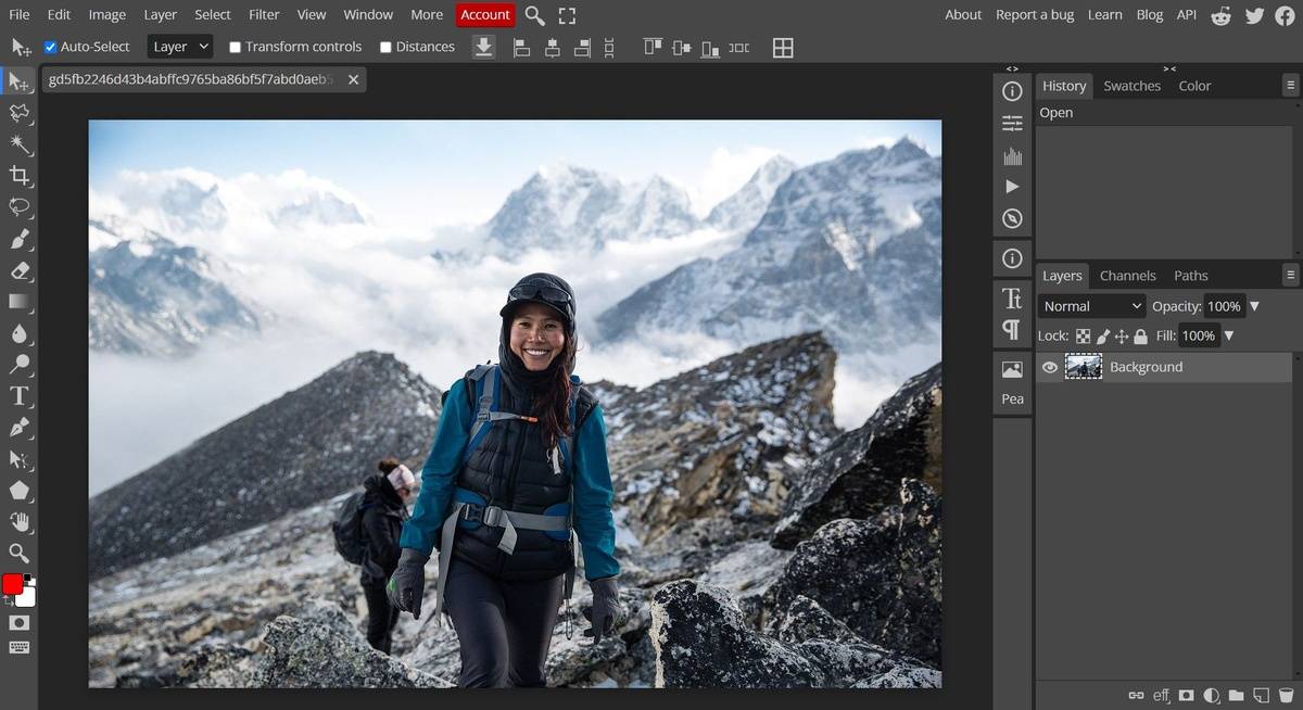 Photopea photo editor | Skylum Blog

