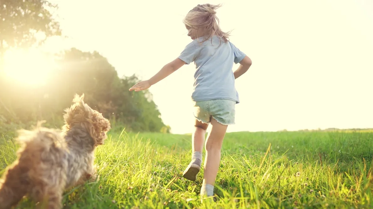 Use Motion to Show Energy | Skylum Blog