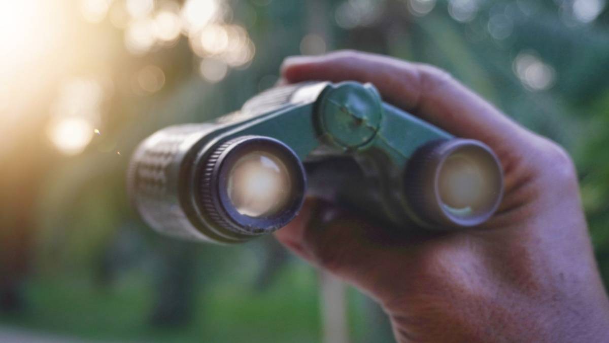 Compact binoculars in hand | Skylum Blog

