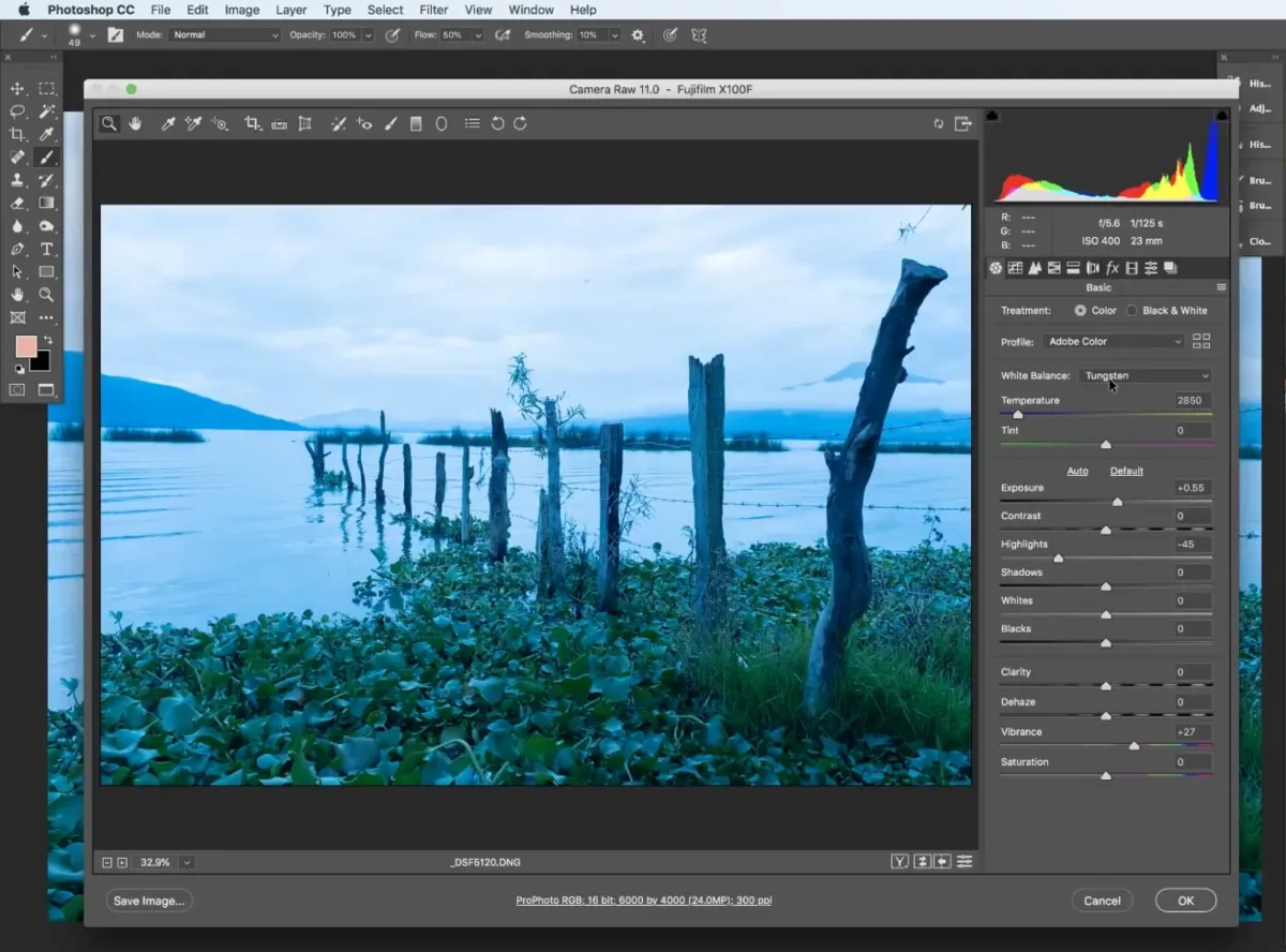Camera Raw Enhancements  in Photoshop | Skylum Blog