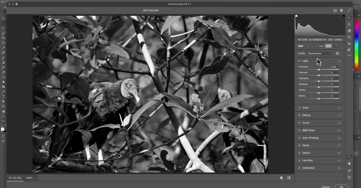 Camera Raw in Photoshop | Skylum Blog
