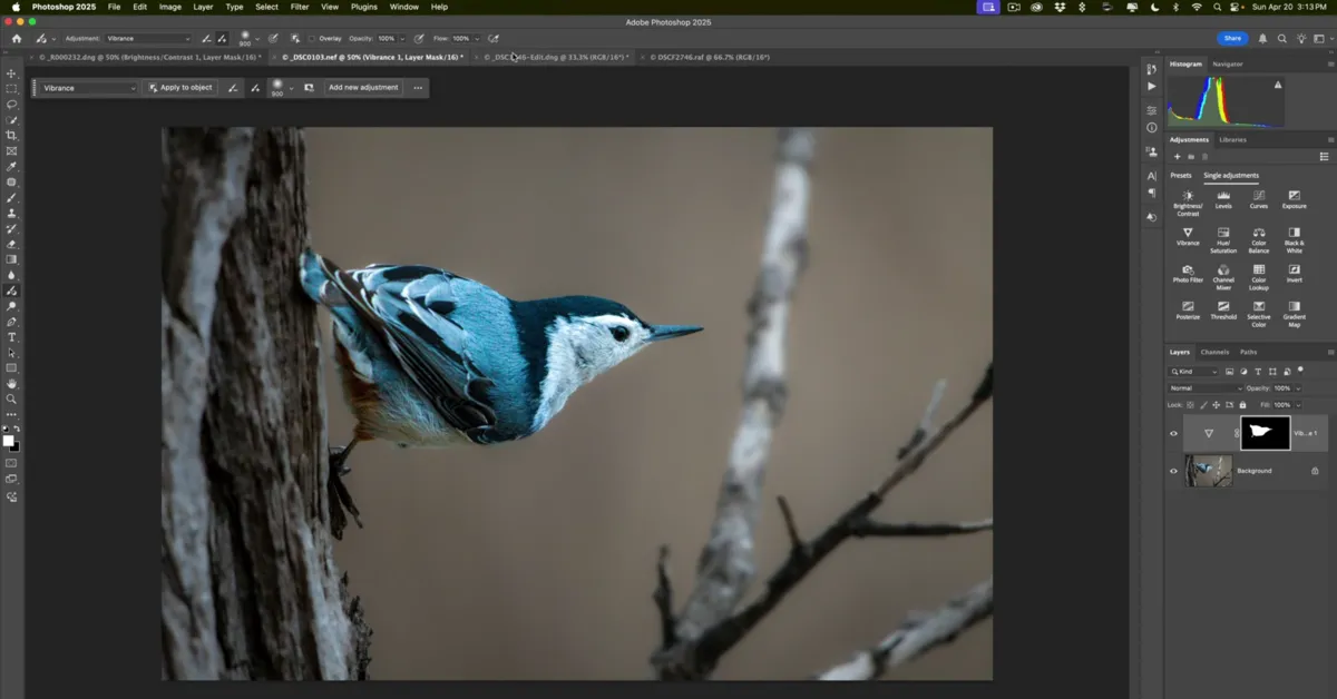 Turbocharged Gradients and Adjustment Brushes in Photoshop | Skylum Blog