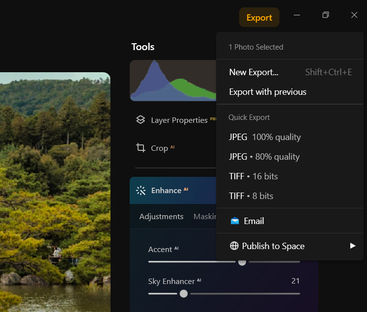 Export in Luminar