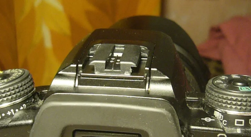 Photography Terminology 101: Essential Terms Unveiled | Skylum Blog