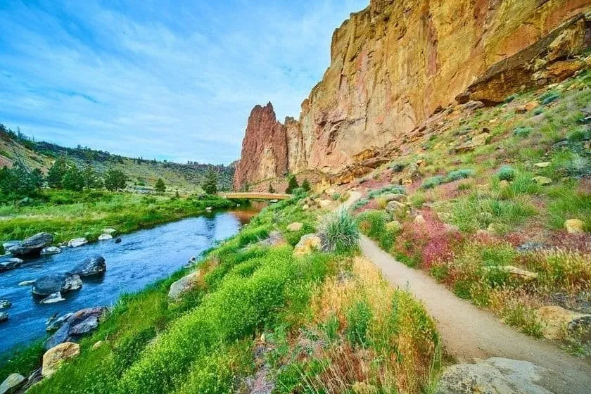 Wide-Angle Perspective