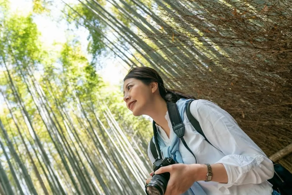 Dutch Angle (Tilted Shot)