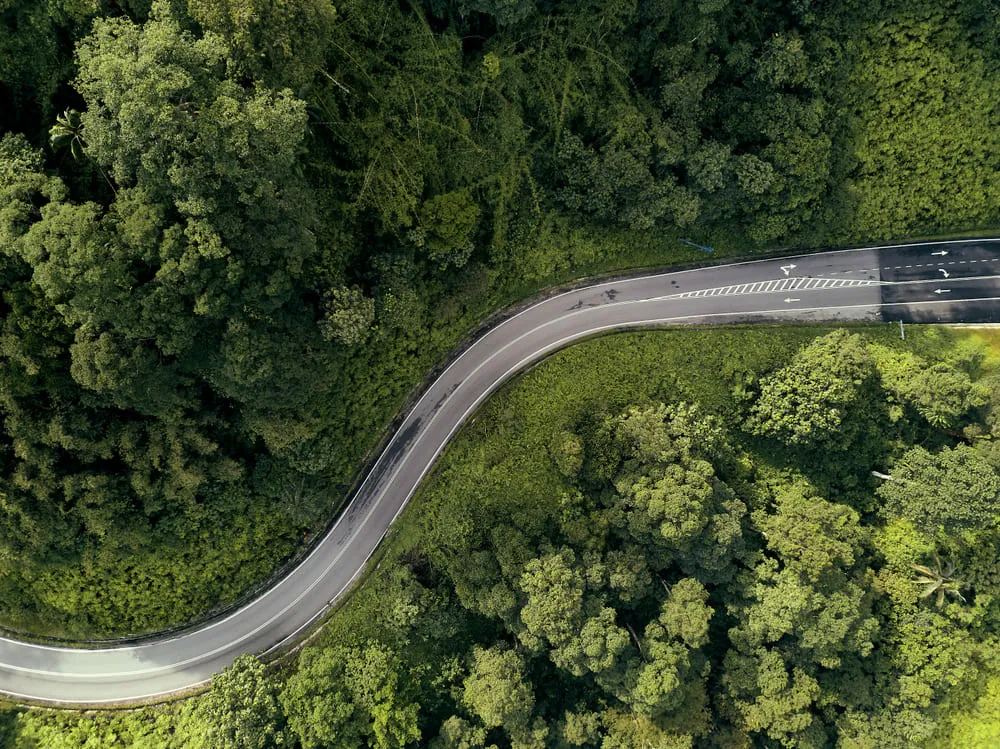 Curves In Photography I Skylum Blog