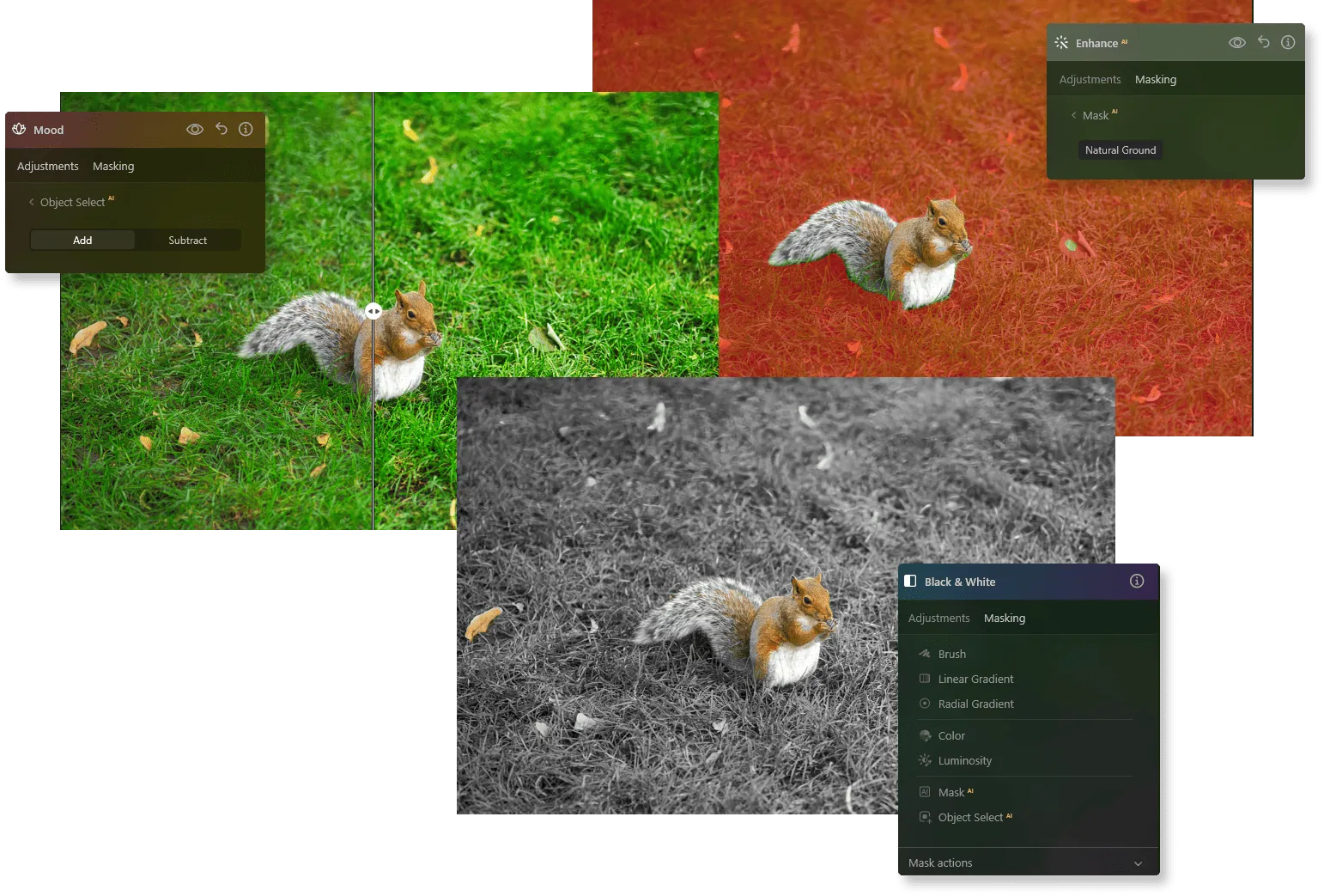 Variety of Photo Masking Types in Luminar Neo | Skylum Blog