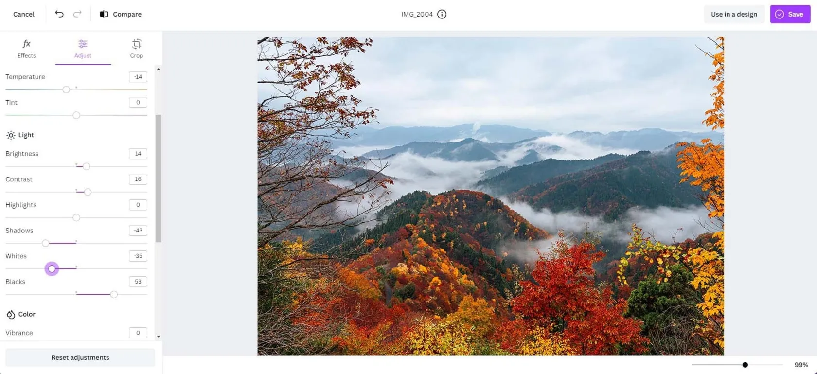 The buttstock of the photo through Canva | Skylum Blog