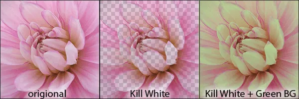 Kill White (Windows) - photoshop plugin to removes white from an image