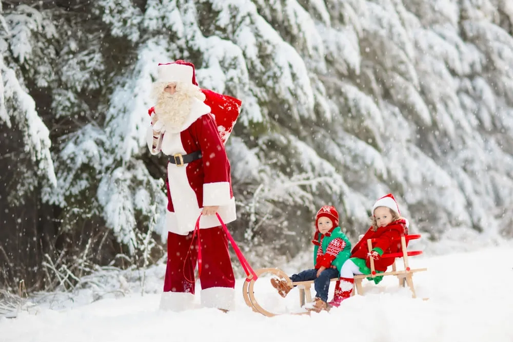 Man in a Santa Claus Costume Riding Children on a Sleigh | Skylum Blog