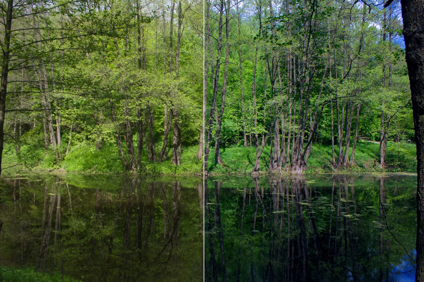 Example of Editing a Landscape with Analogous Colors | Skylum Blog