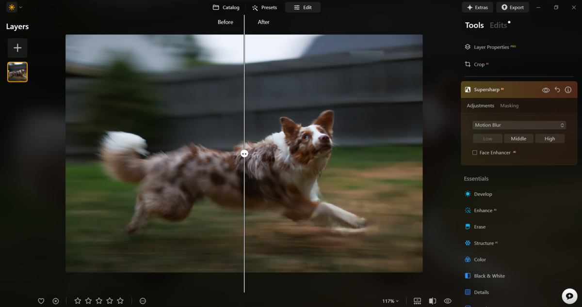 Supersharp AI in Luminar Neo | Skylum Blog

