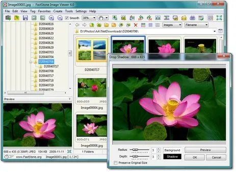 Picasa alternatives: Best Photo Editor like Picasa | Skylum Blog(12)