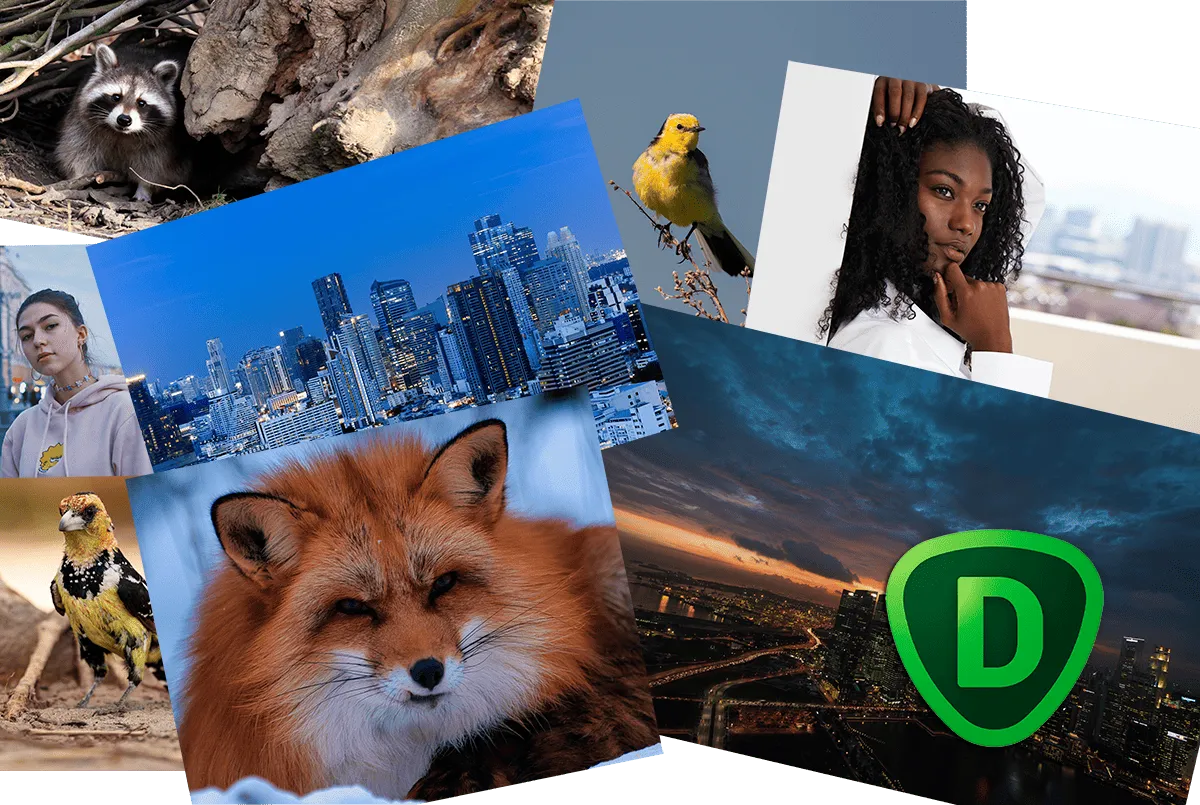 Photography Niches Where Noise Reduction is Essential | Skylum Blog