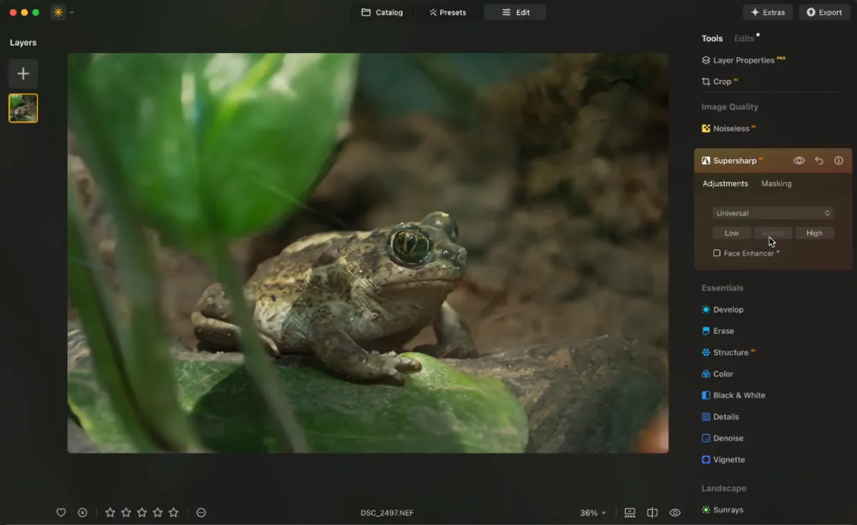 Editing photos in Luminar Neo| Skylum Blog