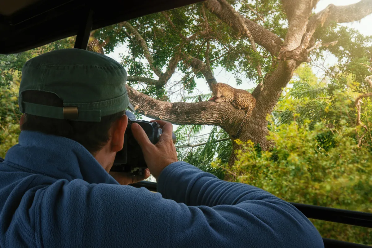 Photographer takes a photo of a cheetah | Skylum Blog