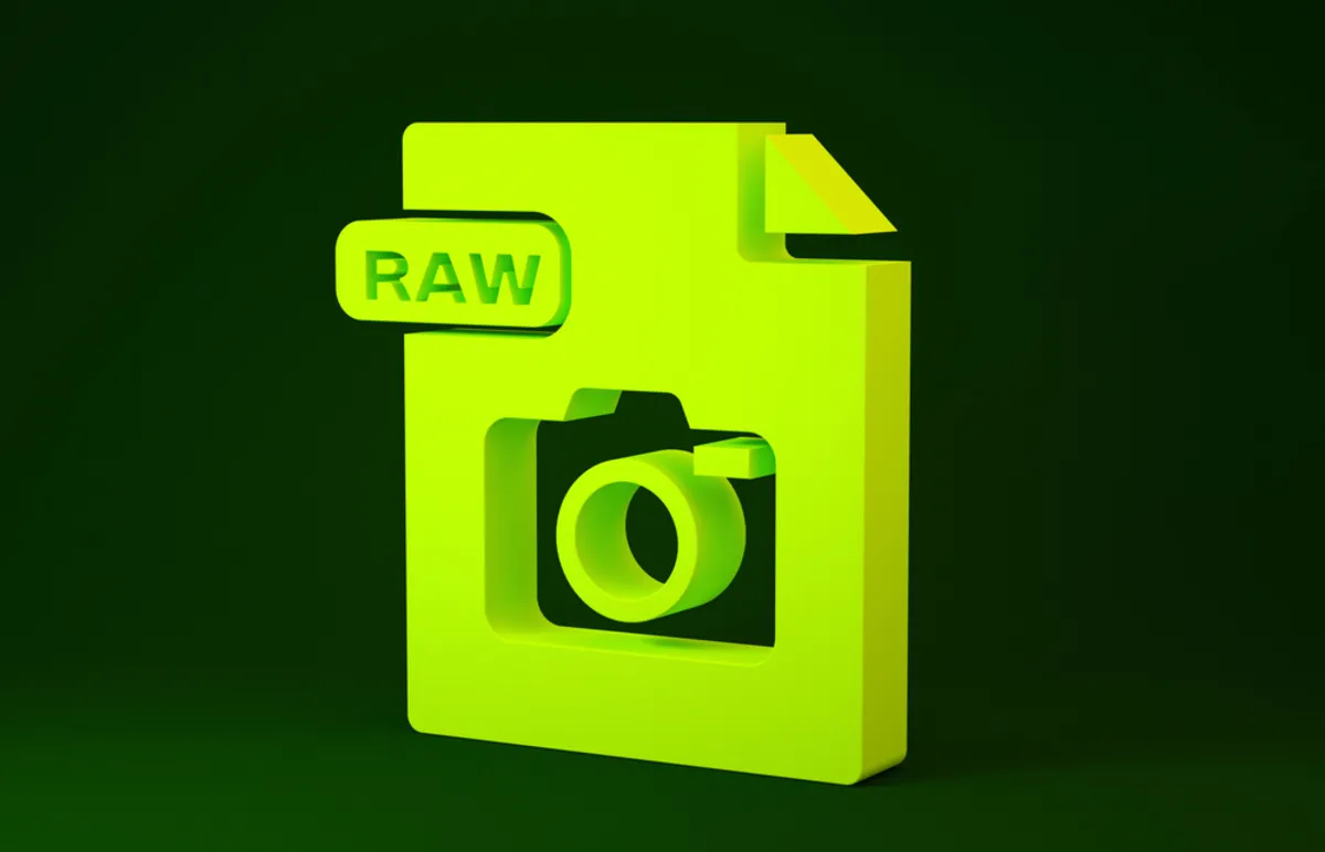 File in RAW format| Skylum Blog