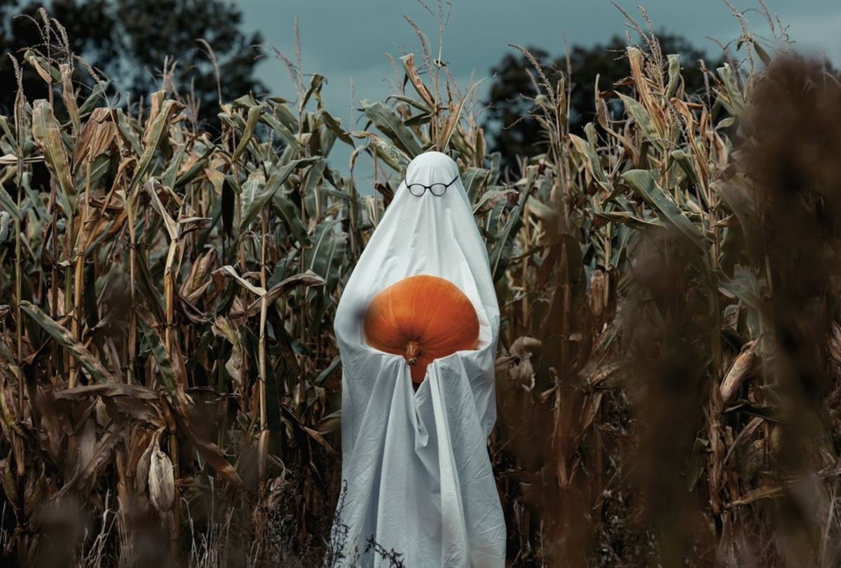 Ghostly figure standing in a dry cornfield | Skylum Blog

