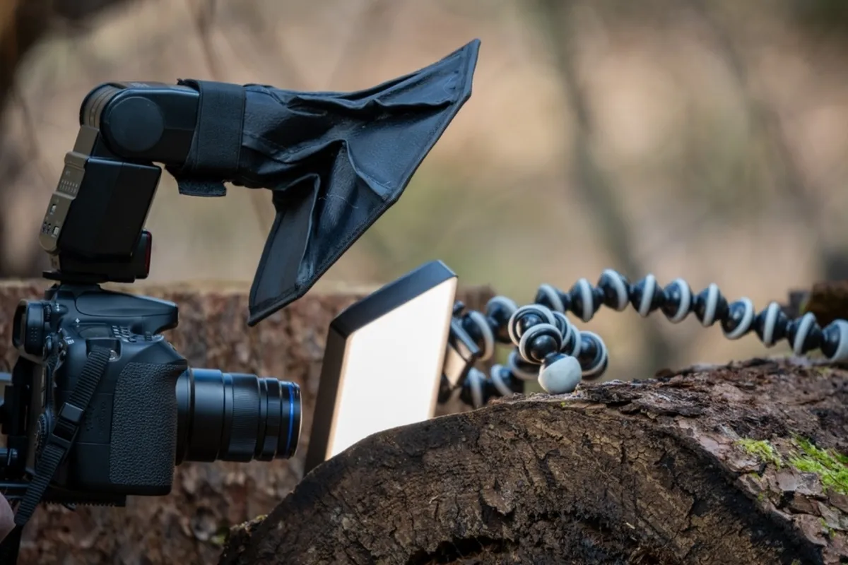 Oświetlenie w makrofotografii | Skylum Blog