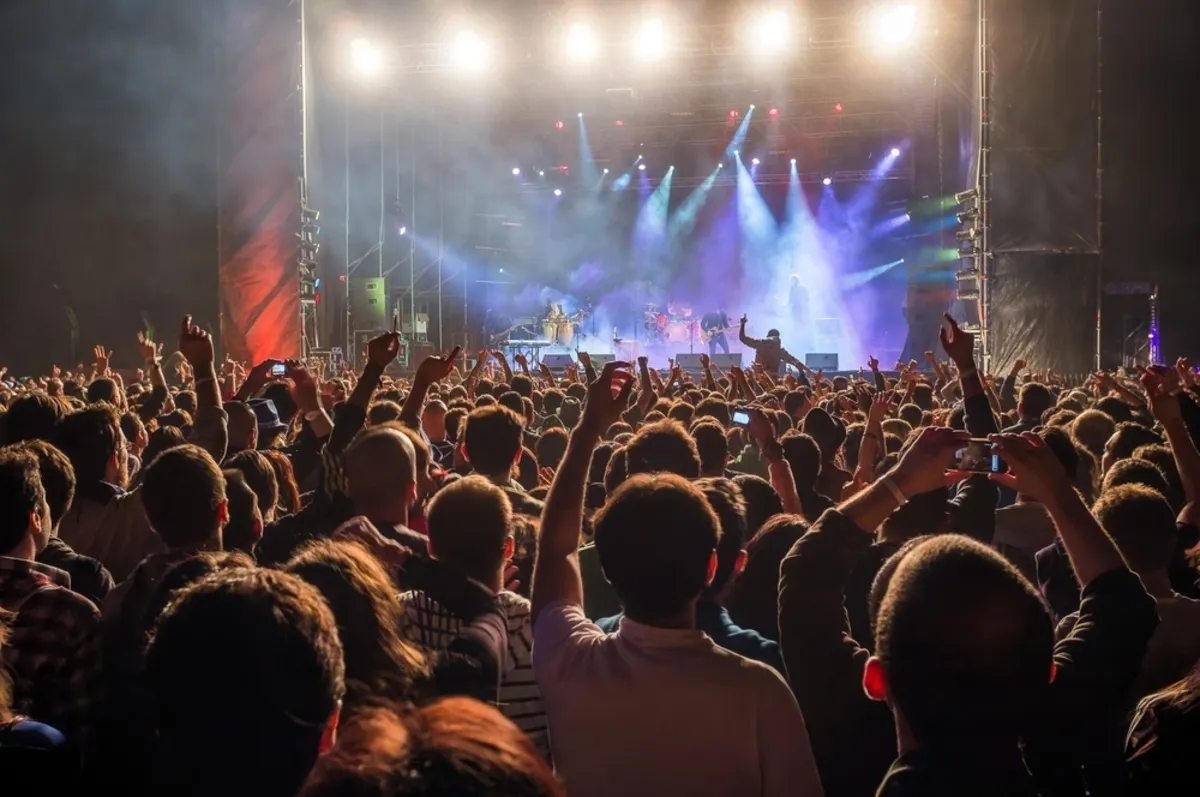 People at the concert | Skylum Blog