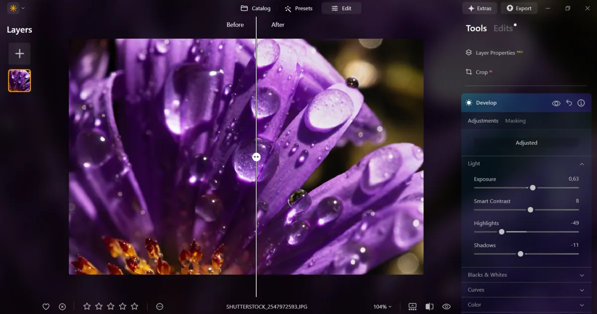Edycja zdjęć makro w Luminar Neo | Skylum Blog