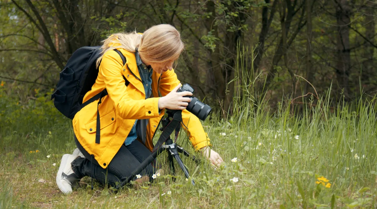 Photographer takes macro photos in nature | Skylum Blog