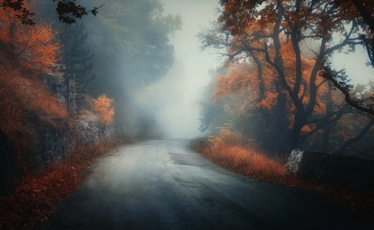 A foggy autumn morning | Skylum Blog