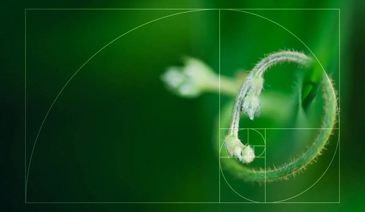 Golden ratio | Skylum Blog