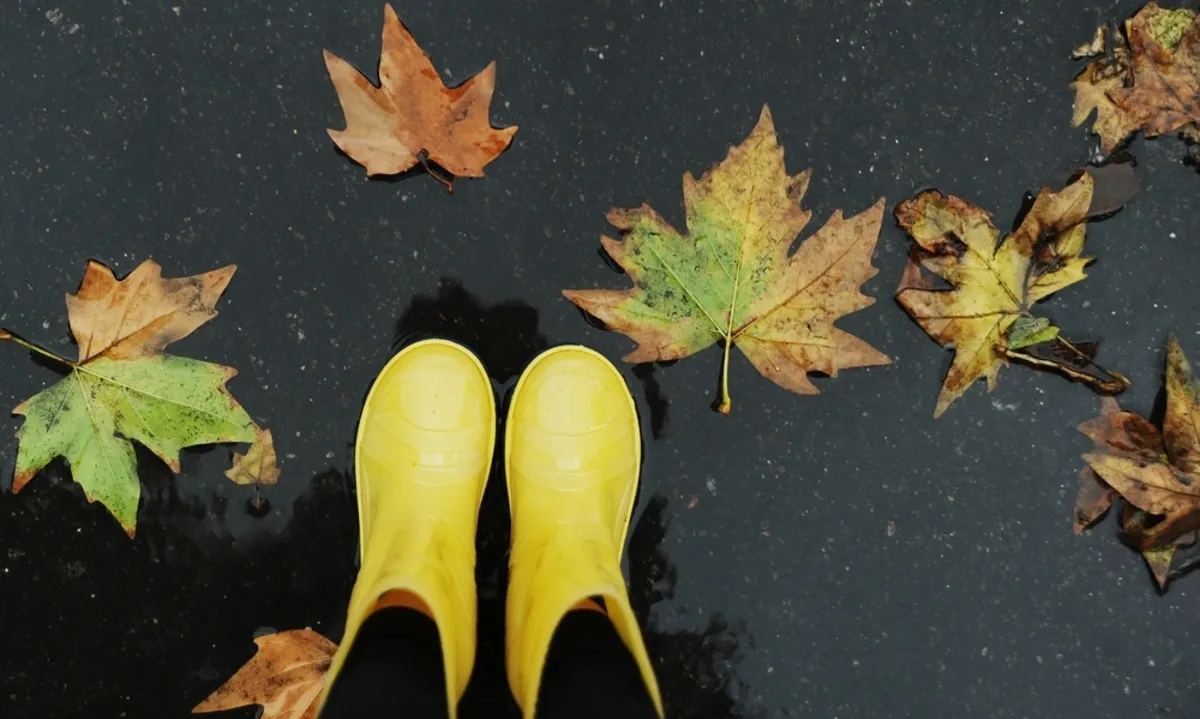 Rubber leaf yellow boots and glasses for autumn | Skylum Blog