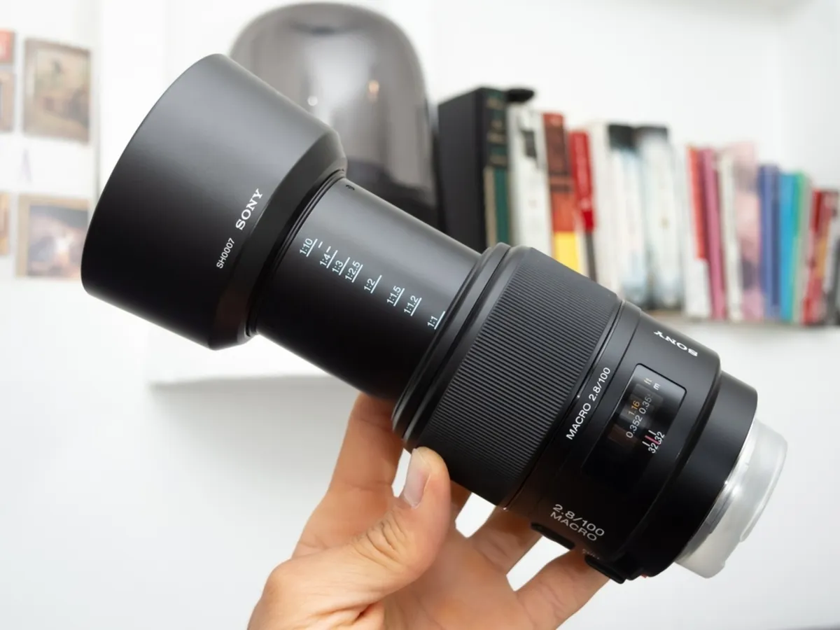 100mm macro lens | Skylum Blog