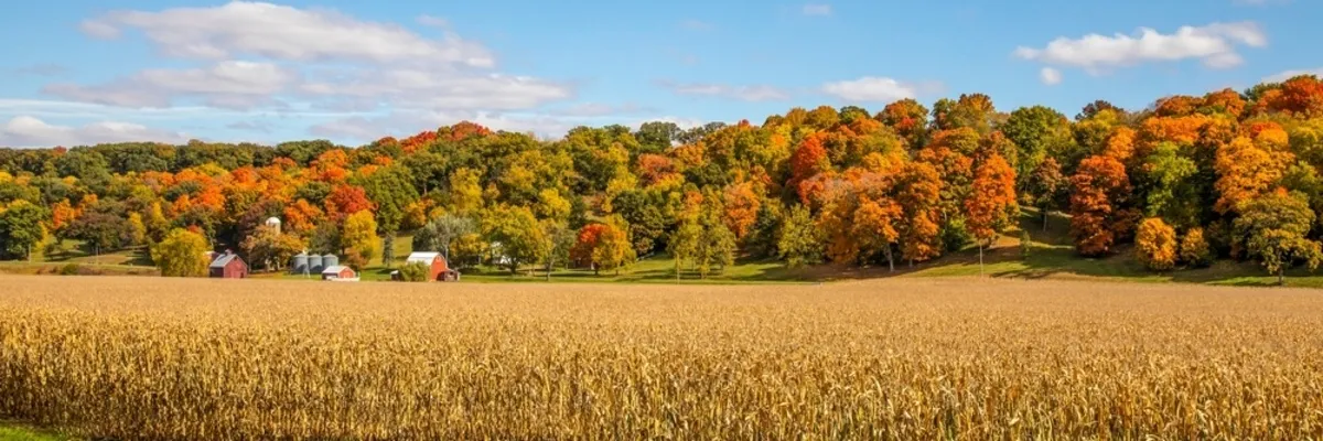 Panorama of autumn trees | Skylum Blog