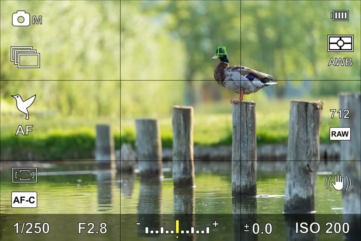Rule of Thirds Grid on Camera | Skylum Blog