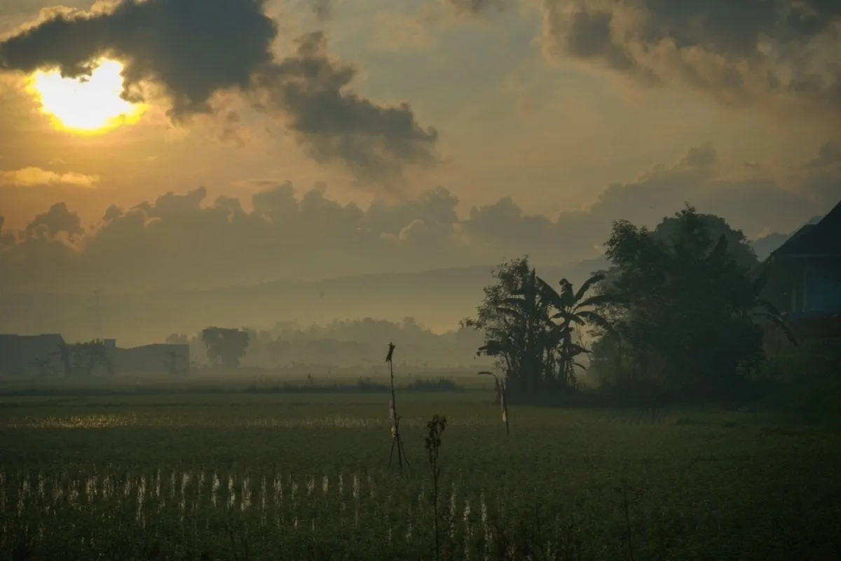 Foggy field at dawn | Skylum Blog