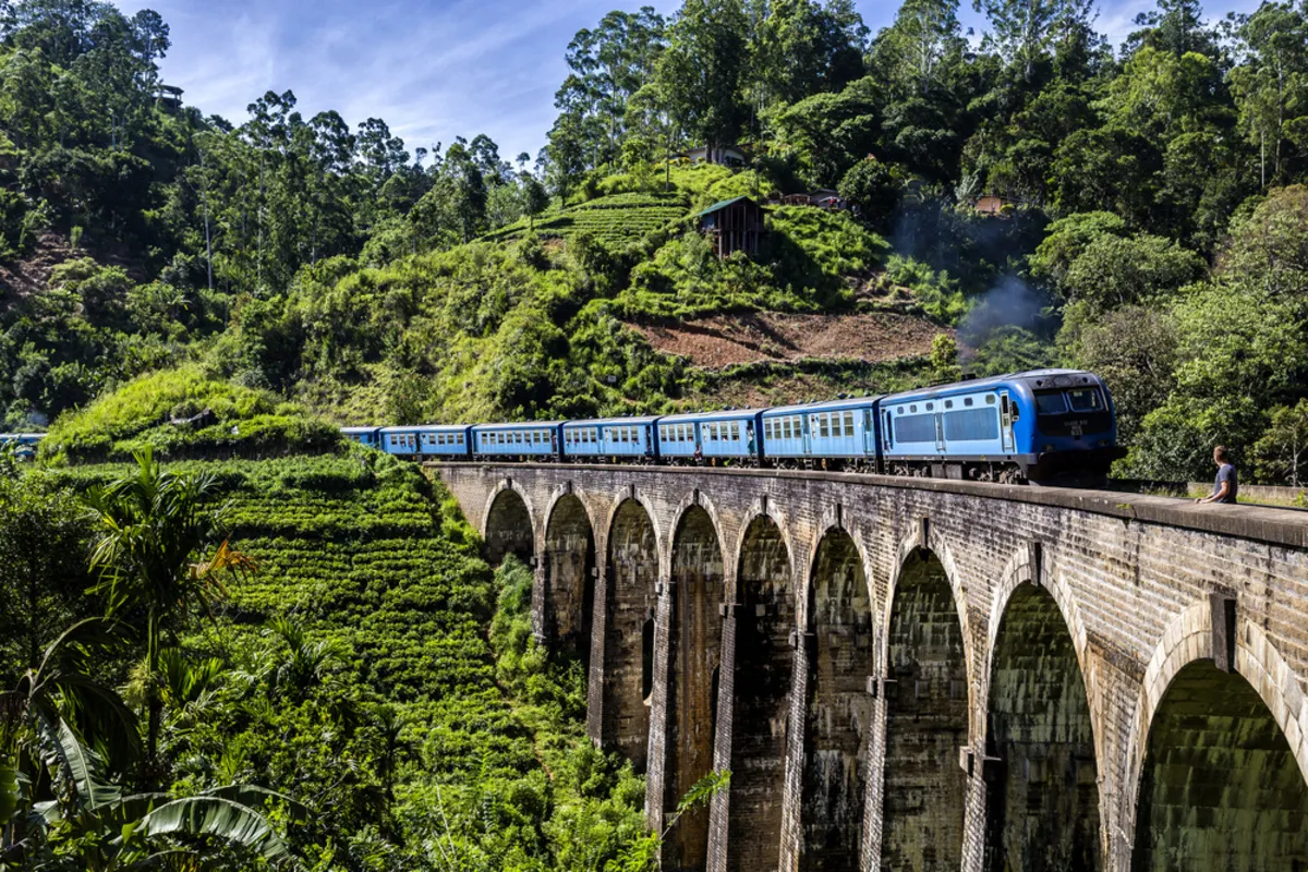 A train passing over a bridge against a background of greenery | Skylum Blog