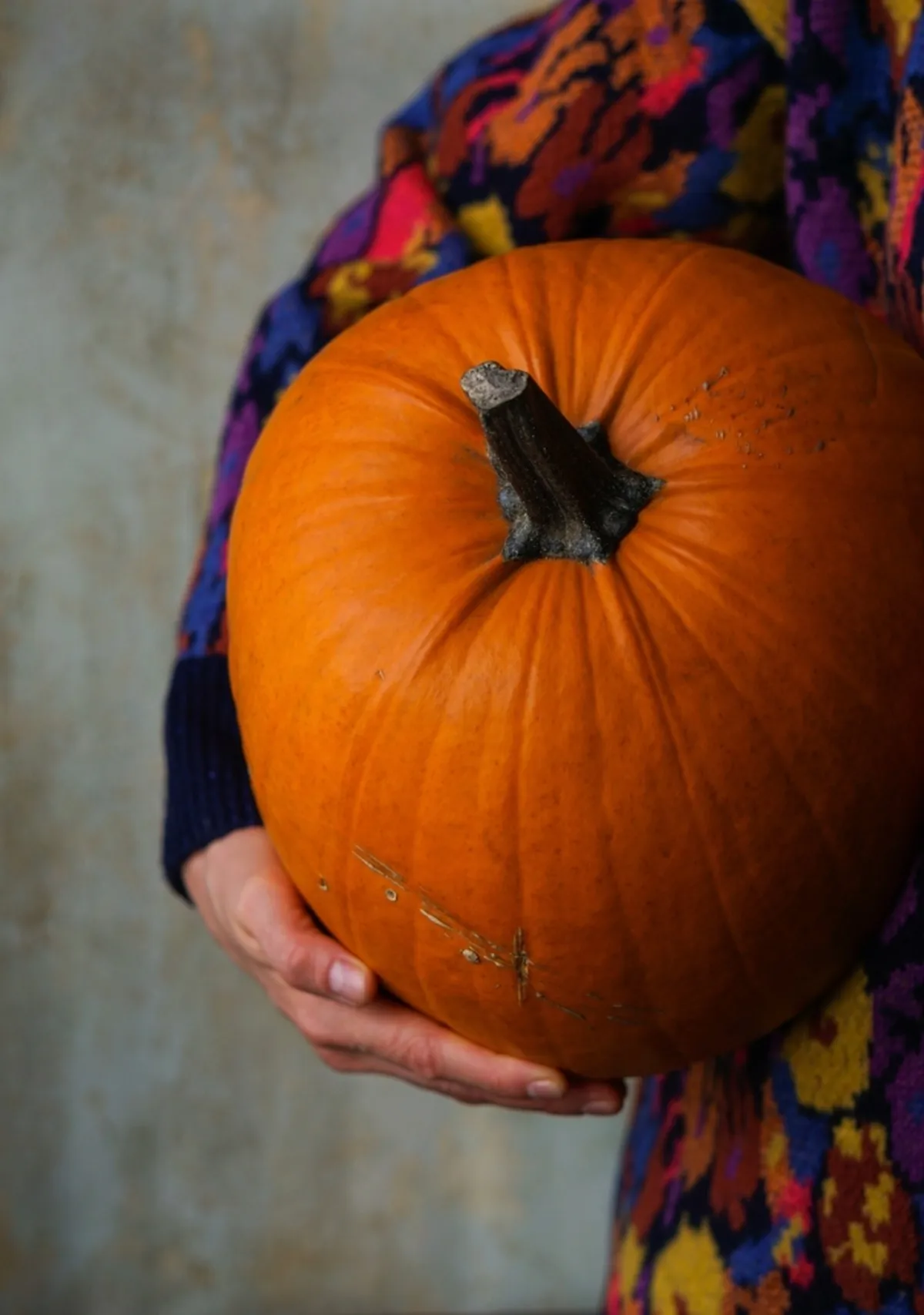 A close-up of a pumpkin in a girl's hands | Skylum Blog