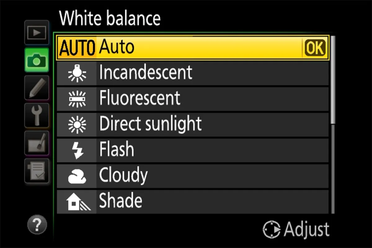 Setting white balance on your camera | Skylum Blog
