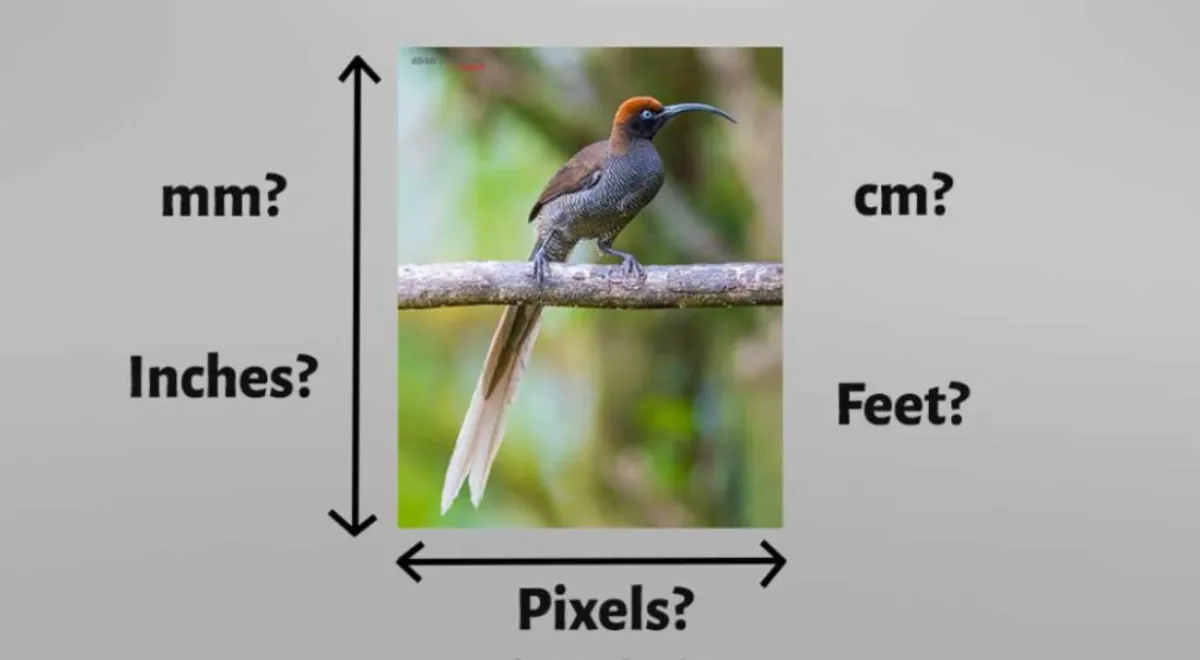 4×6 in Inches, CM, and MM | Skylum Blog