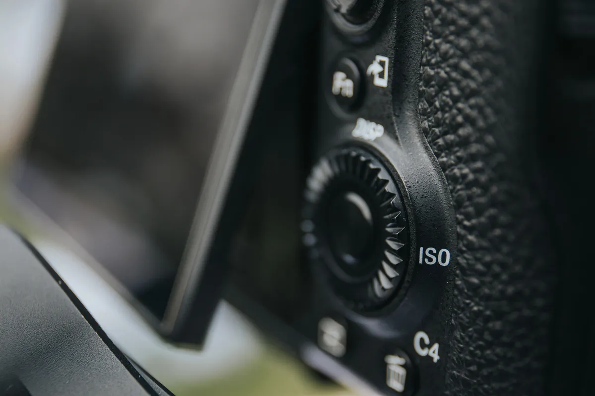 ISO on camera | Skylum Blog