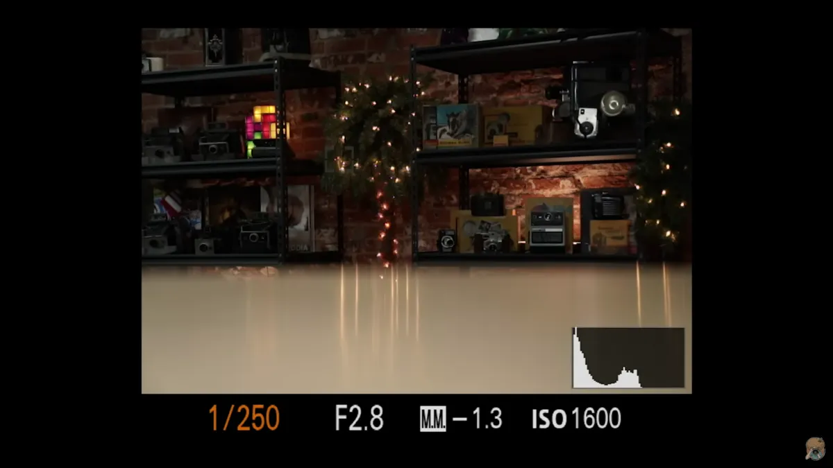 Exposure on the electronic viewfinder screen | Skylum Blog